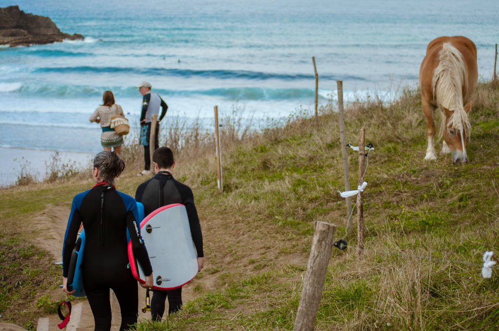 family surf camp
