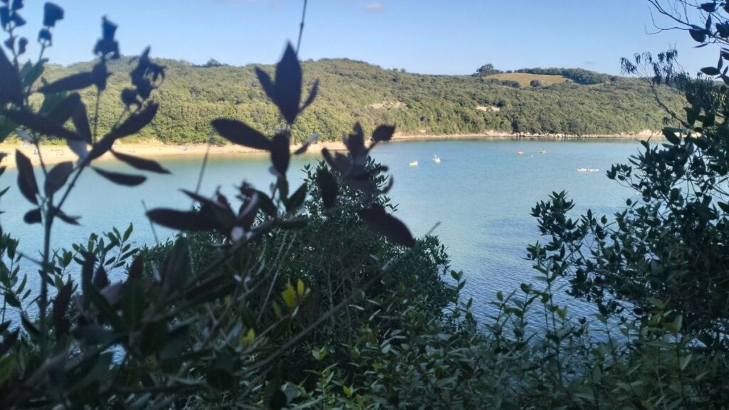 ¿Cómo organizamos los niveles en nuestro campamento de surf Surf en Grupo Reducido Ajo Natura